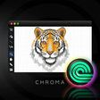 Digital drawing of a tiger on a grid with 'Chroma' branding.