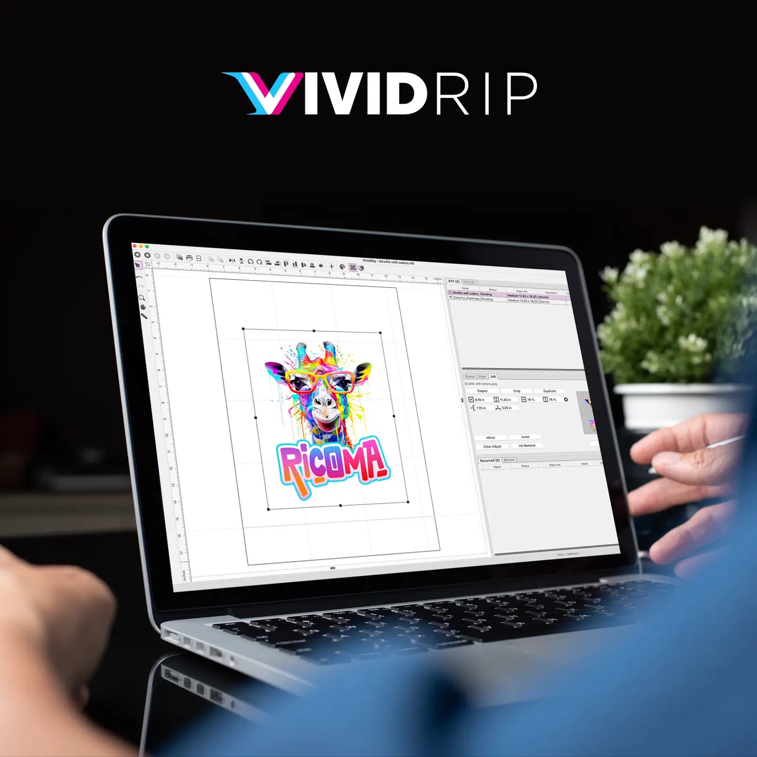 vivid rip printing software image 2