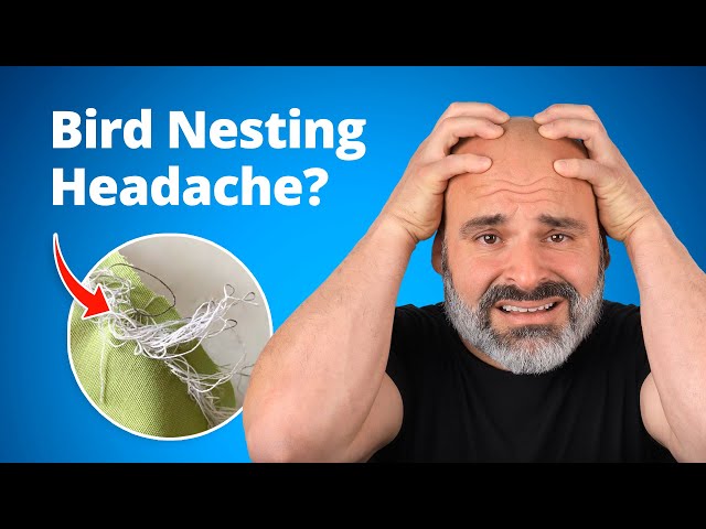 Bird nesting NIGHTMARE